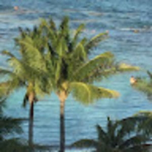 Meet your Posher, Sasha